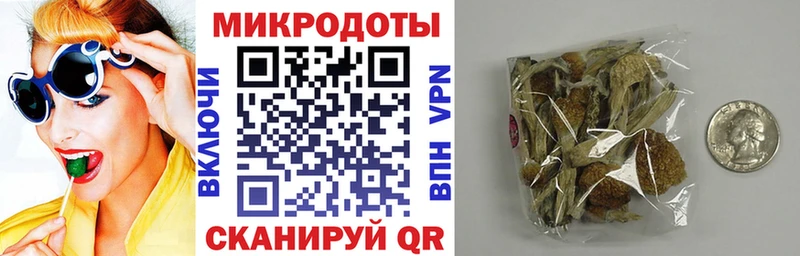 Купить  Задонск  Галлюциногенные грибы MAGIC MUSHROOMS 